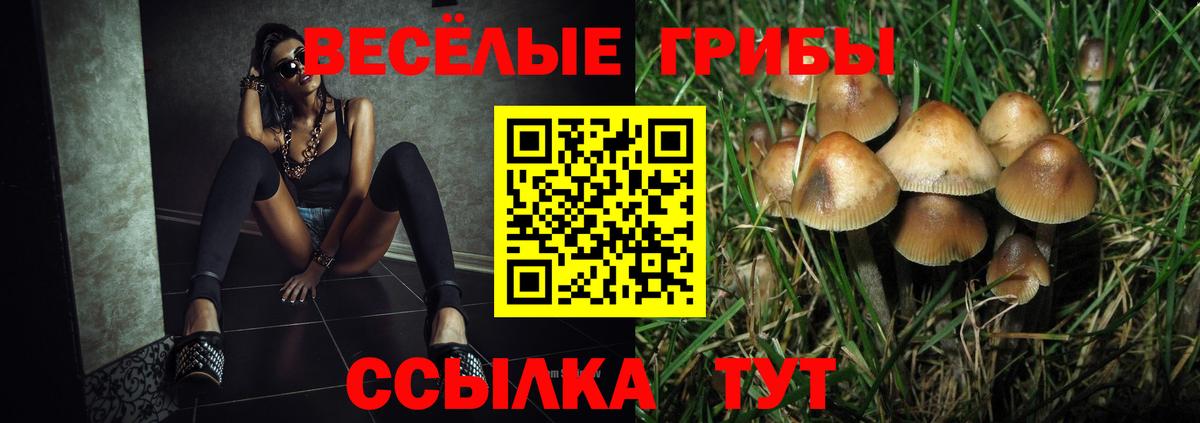 Краснодар  Галлюциногенные грибы Psilocybe  Вход с VPN 